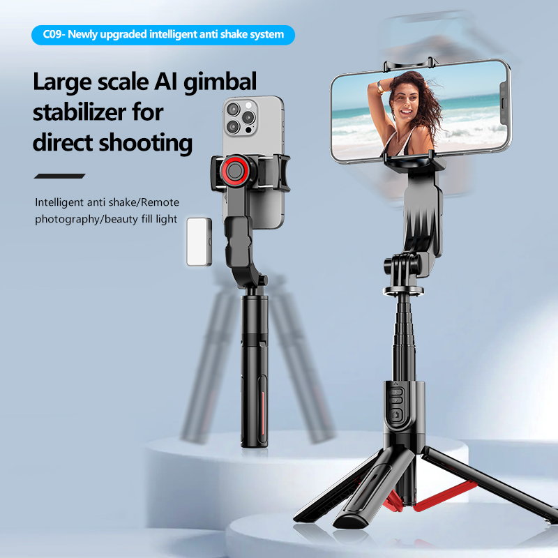 Magnetic fill light Outdoor sp – Outdoor Lighting Video Shooting Bewertung und Preis