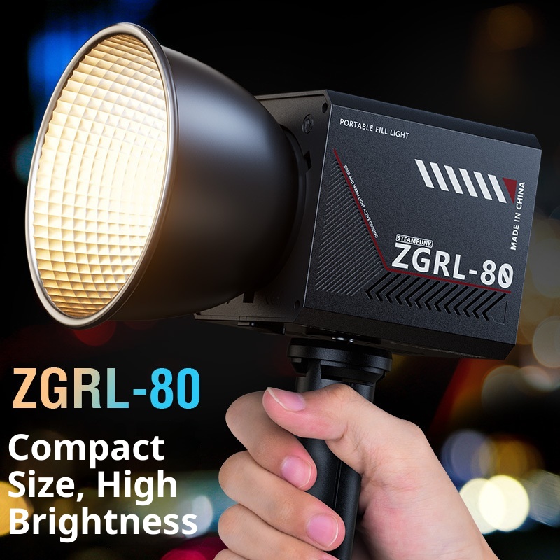 ZGRL80 80W COB Handheld Video  – Outdoor Lighting Video Shooting Bewertung und Preis