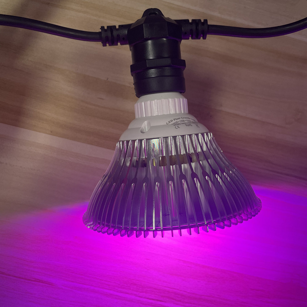 10M Cable LED String Commercia – Bollard Light Garden Bewertung und Preis